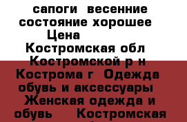 сапоги  весенние состояние хорошее › Цена ­ 10 000 - Костромская обл., Костромской р-н, Кострома г. Одежда, обувь и аксессуары » Женская одежда и обувь   . Костромская обл.